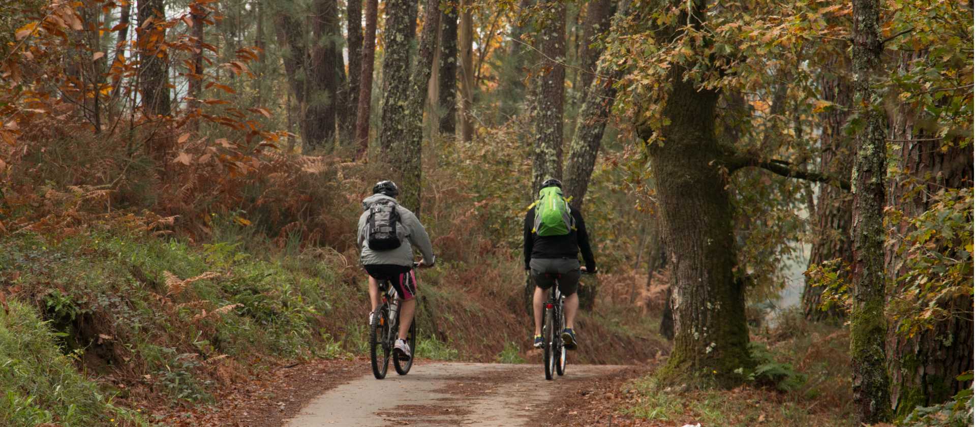 Cycling the quiet trails of the Portuguese Camino to Santiago de Compostela in Spain