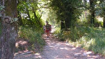 Pilgrims on the Portuguese Camino