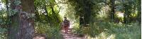 Pilgrims on the Portuguese Camino