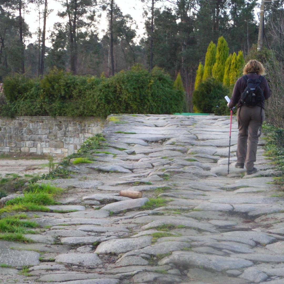 Hiking along the Portuguese Camino