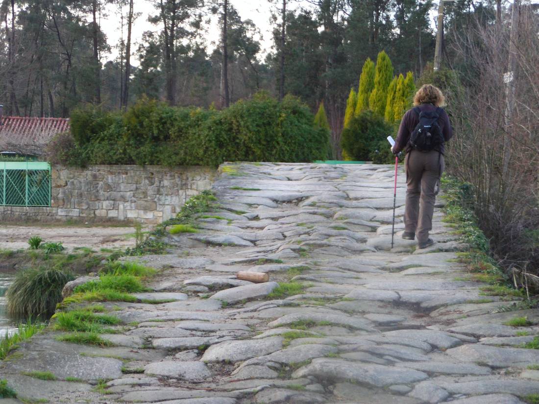 Hiking along the Portuguese Camino