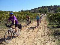 Cycling through vineyards in Portugal