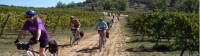 Cycling through vineyards in Portugal