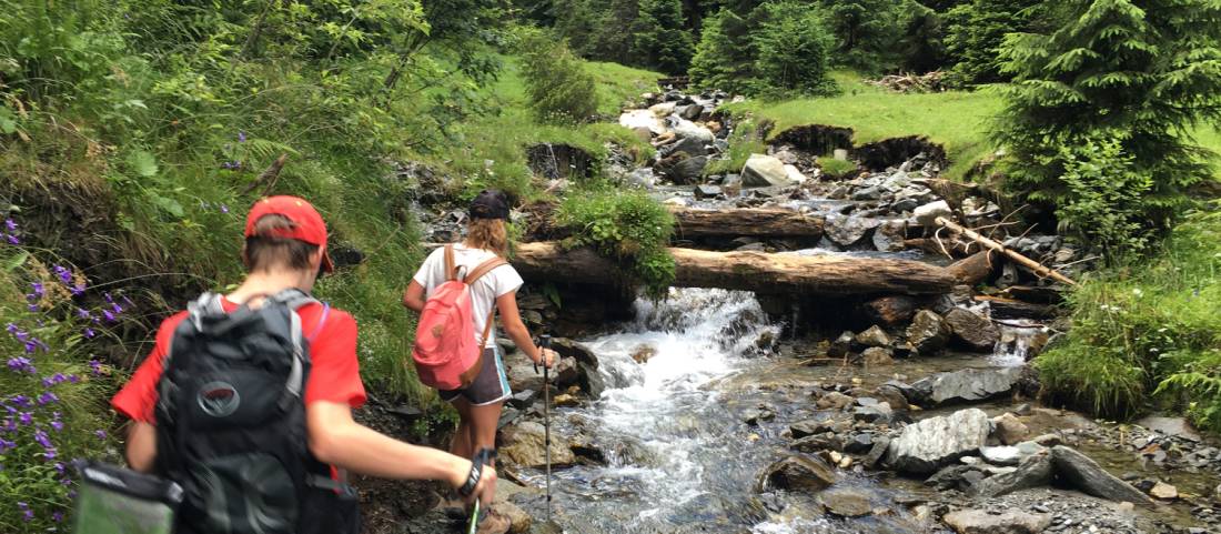 Ascending through forest to the Bucegi Mountains in Transylvania |  <i>Kate Baker</i>