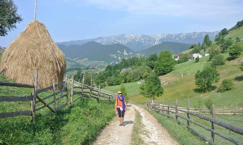 Hiking in Romania&#160;-&#160;<i>Photo:&#160;Lilly Donkers</i>