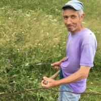 Farmer making hay with a scythe in Transylvania | Kate Baker