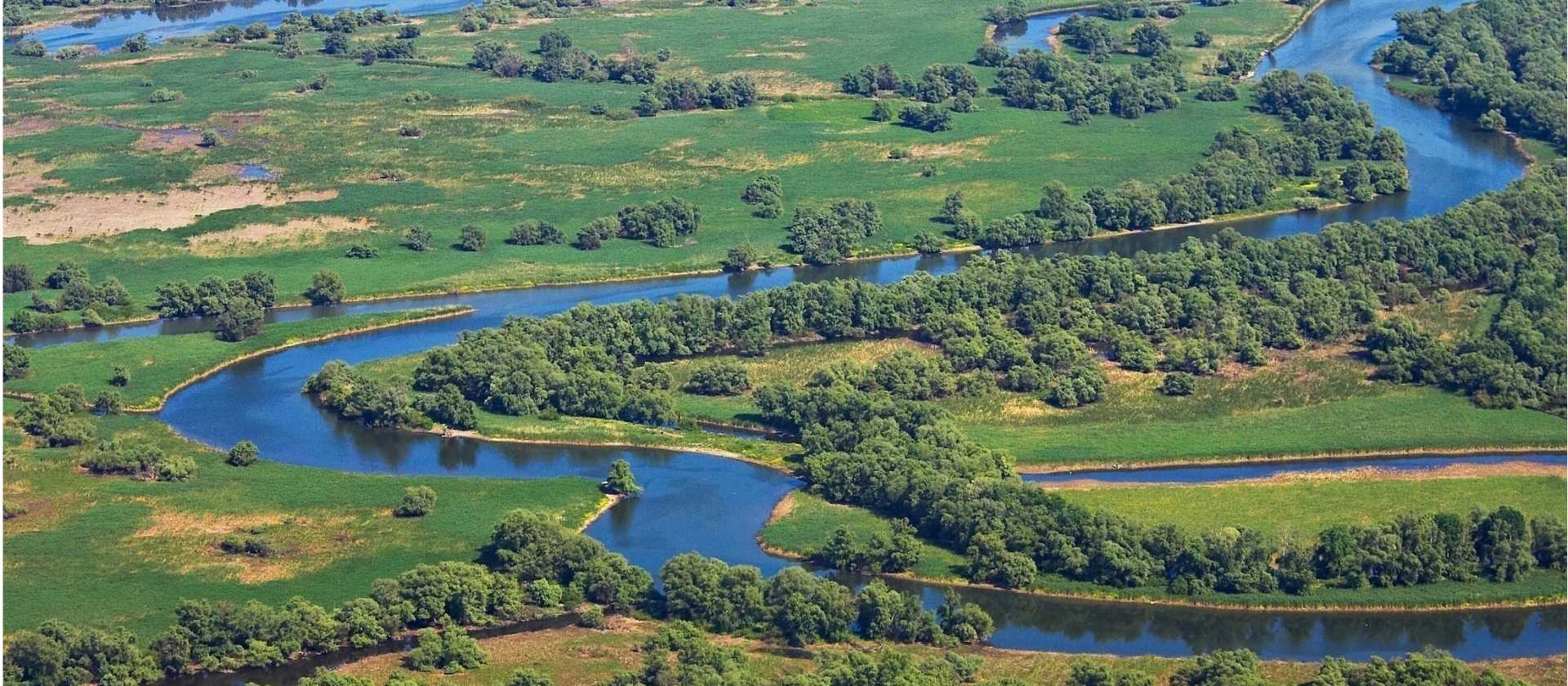 The Danube Delta in Romania