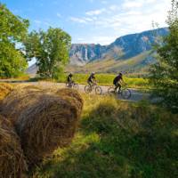 Cycling through the pretty Romanian countryside