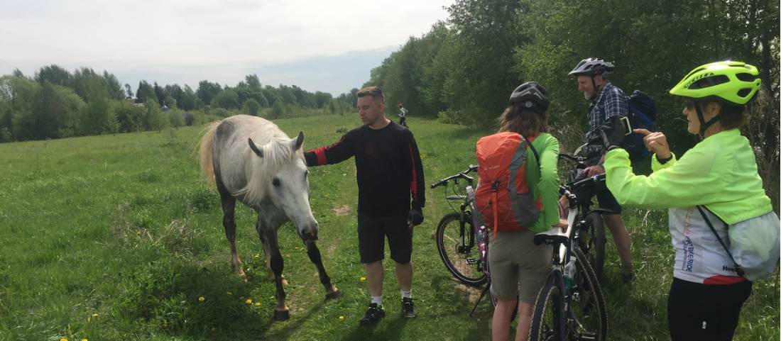 Meeting a friendly horse in Russia | <i>Phillip Williams</i>