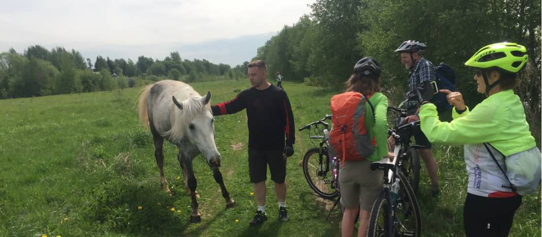 Meeting a friendly horse in Russia |  <i>Phillip Williams</i>