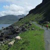 Cycle by the water's edge in Scotland