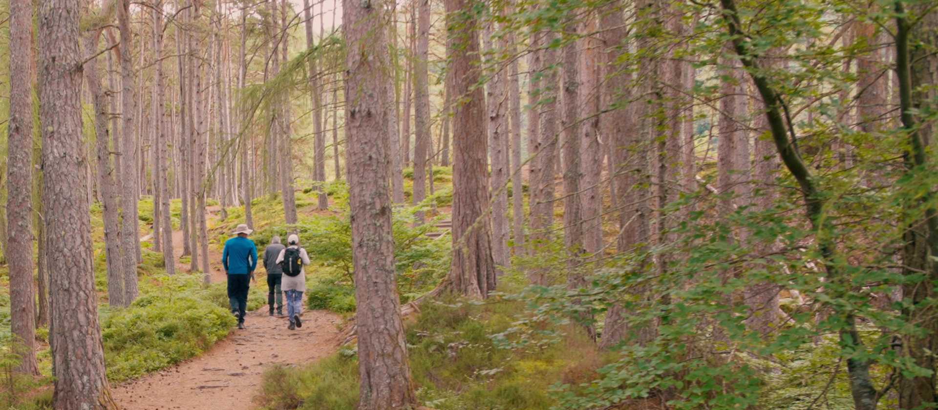 Enjoy walking along the Great Glen Way | Tim Charody