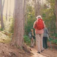 Enjoy walking along the Great Glen Way | Tim Charody
