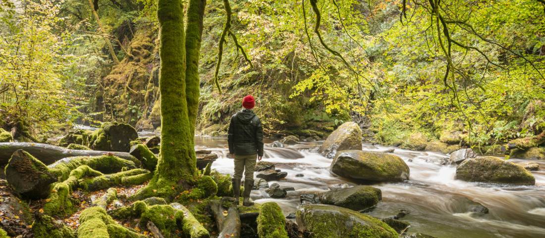 Hiking in the Birks of Aberfeldy on the Rob Roy Way | <i>Kenny Lam</i>