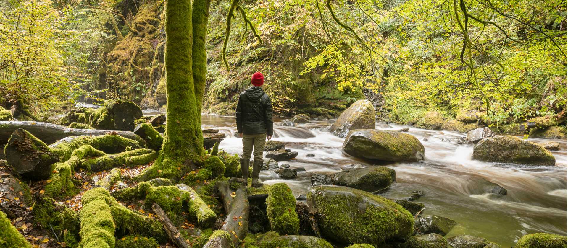 Hiking in the Birks of Aberfeldy on the Rob Roy Way | Kenny Lam