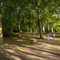 Walking through the woods on Corstorphine Hill on the John Muir Way | Kenny Lam
