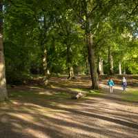 Walking through the woods on Corstorphine Hill on the John Muir Way | Kenny Lam