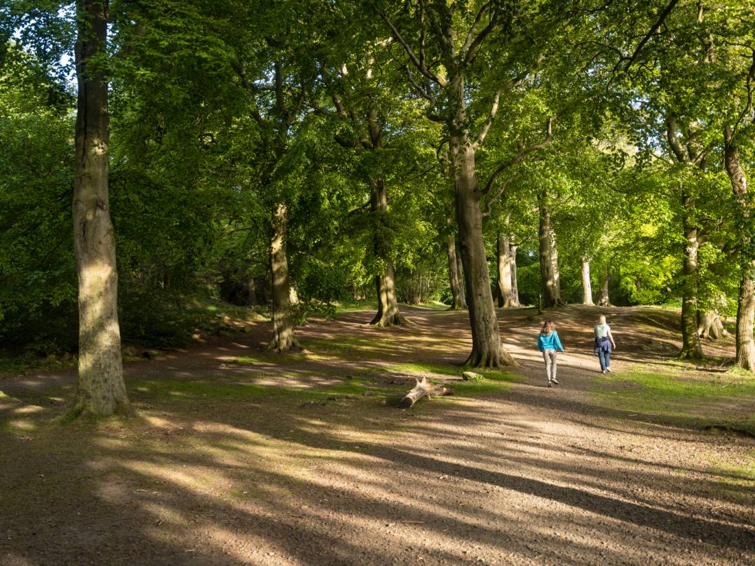 Walking through the woods on Corstorphine Hill on the John Muir Way |  <i>Kenny Lam</i>