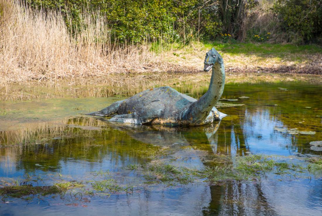 Spot Nessie in Scotland! |  Kenny Lam