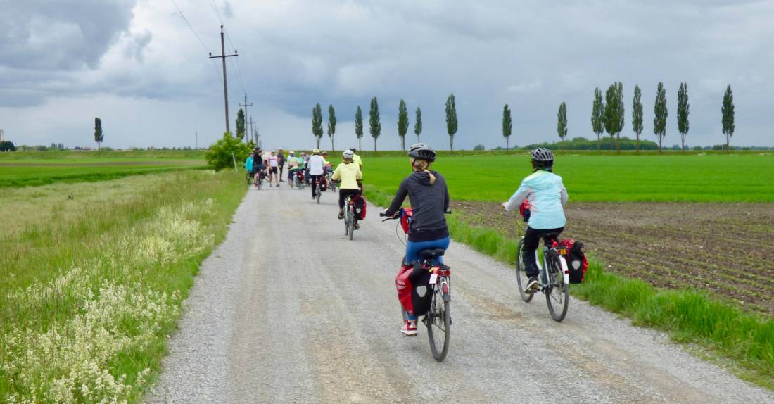 Cycling in Slovakia towards Bratislava |  <i>Pat Rochon</i>