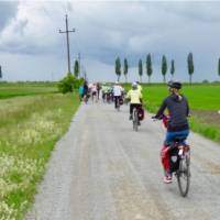 Cycling in Slovakia towards Bratislava | Pat Rochon