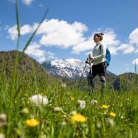 Enjoying a Slovenian hiking trail