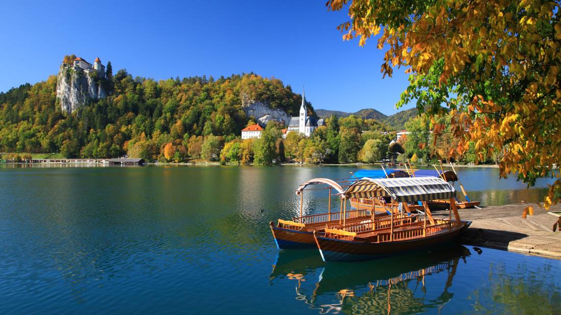 Bled