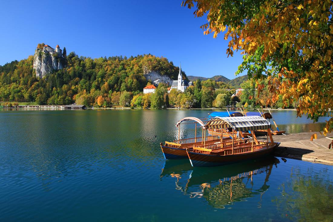 Bled