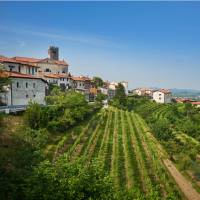 The wine making town of Brda | Tomo Jesenicnik