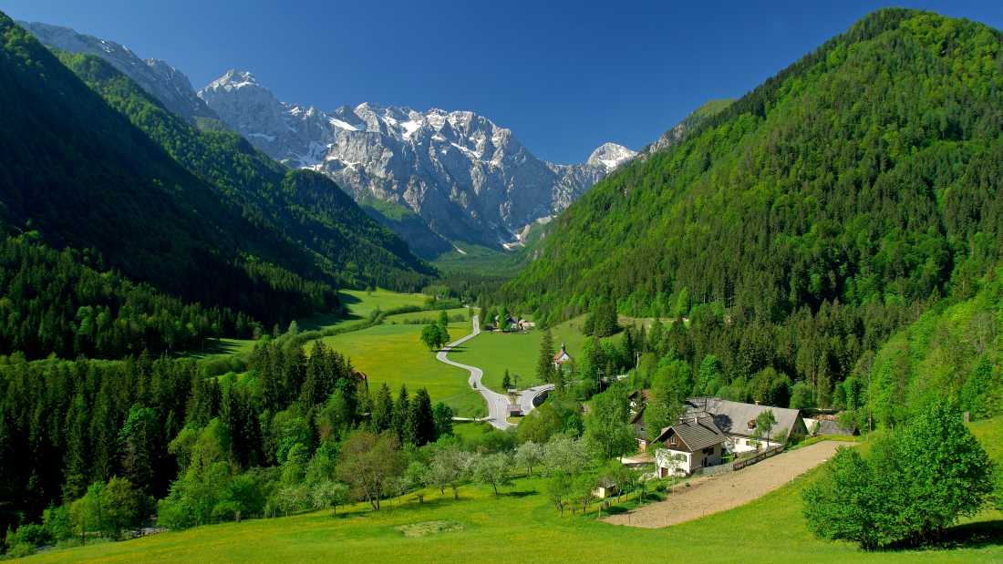 Discover the delightful alpine valleys |  Tomo Jesenicnik