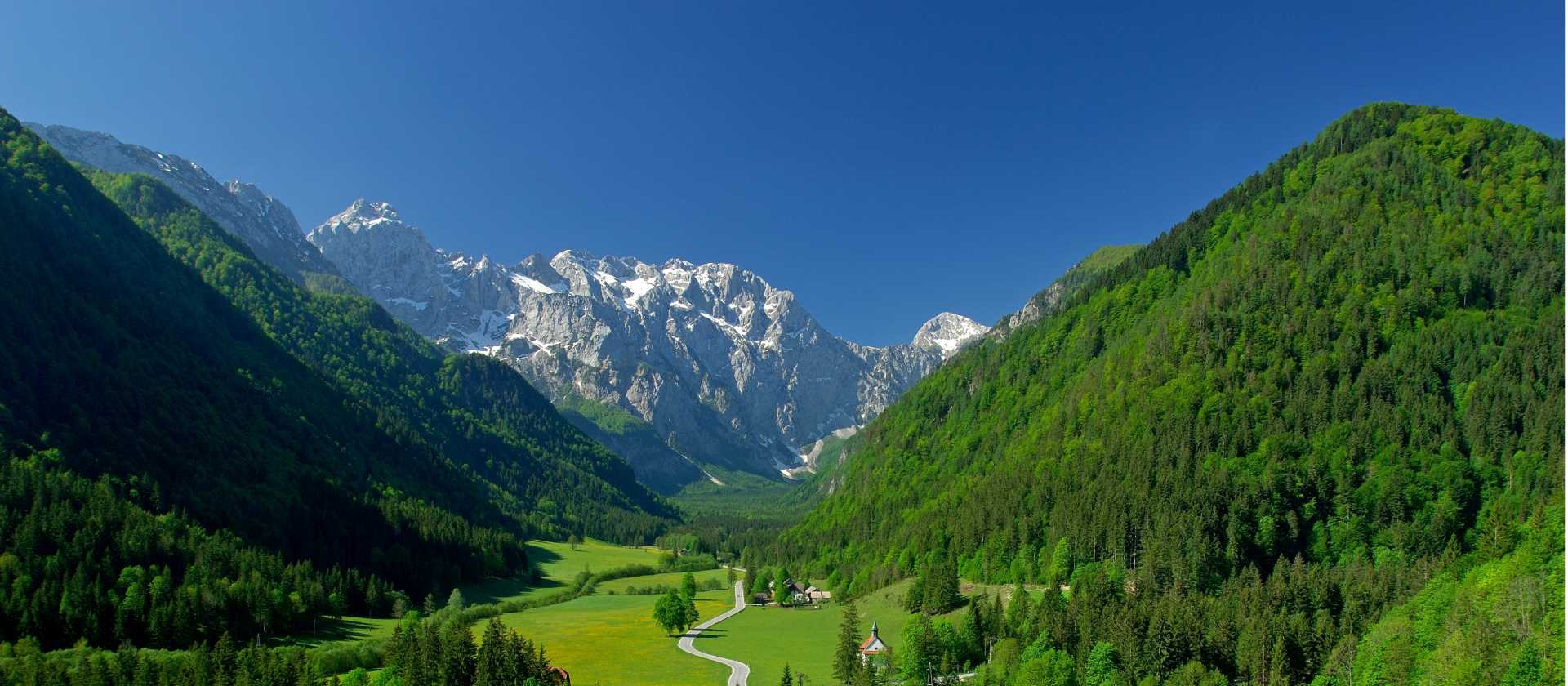 Discover the delightful alpine valleys | Tomo Jesenicnik