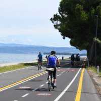 Cyclists on a dedicated cycle path on the Adriatic coast