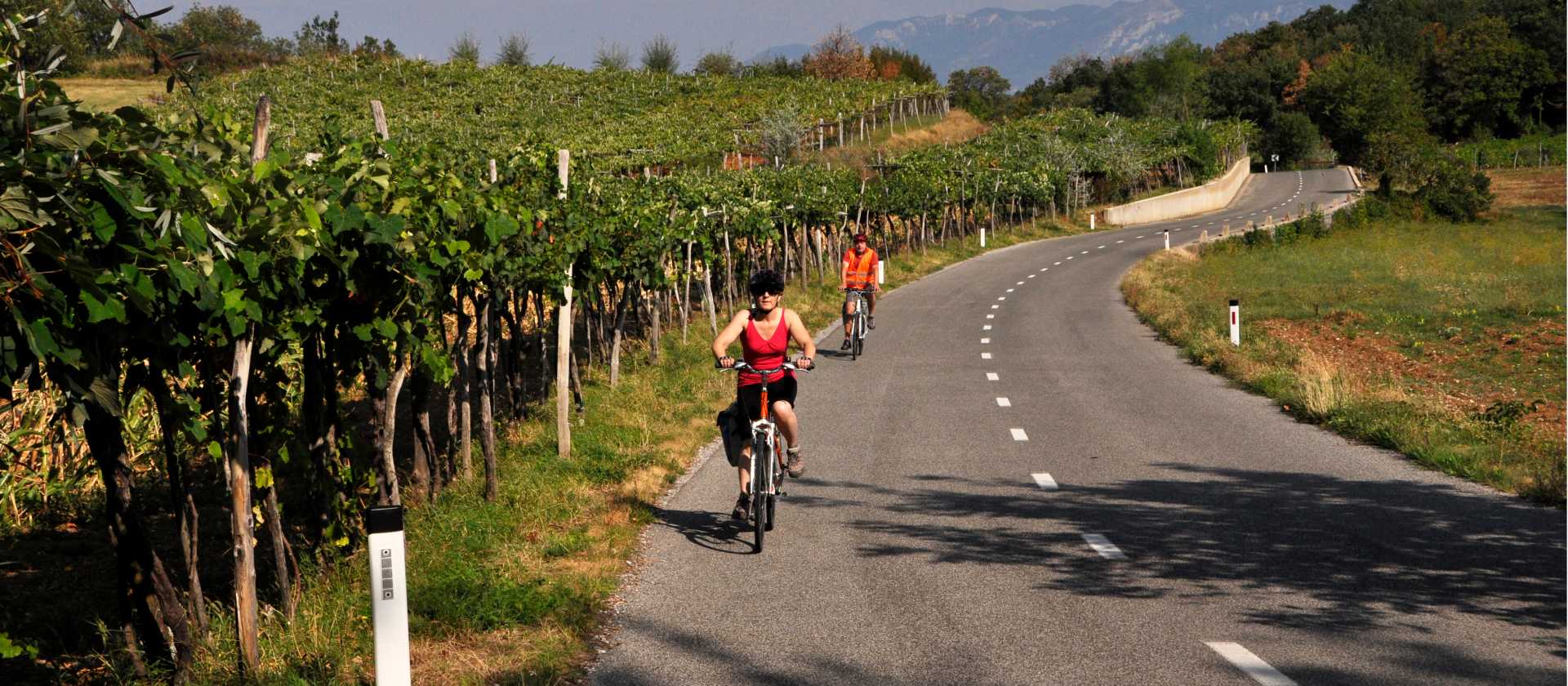 Cycling past vineyards in Slovenia's west