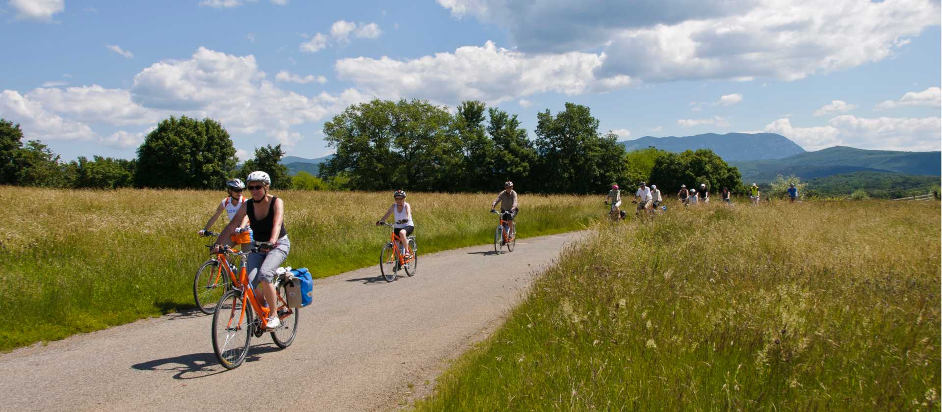 The Slovenian grasslands have quiet roads perfect for leisure cyclists