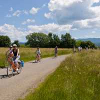 The Slovenian grasslands have quiet roads perfect for leisure cyclists