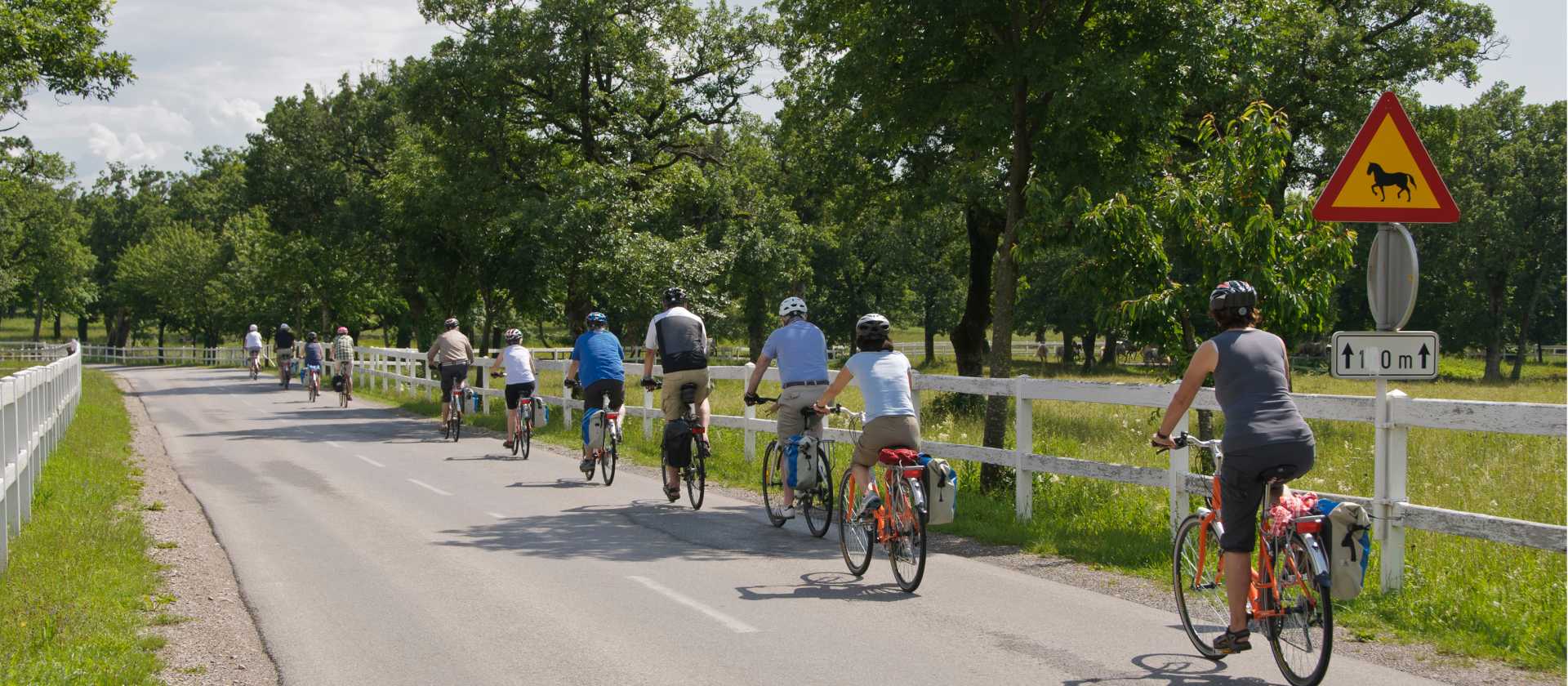 Cyclists in Slovenia near Lipica