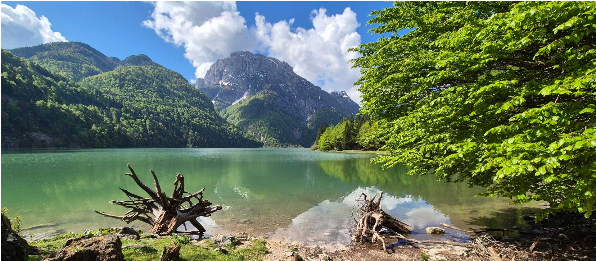 Lake Predil, surrounded by the forested slopes and rugged peaks of the Julian Alps.