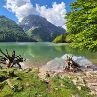 Lake Predil, surrounded by the forested slopes and rugged peaks of the Julian Alps.