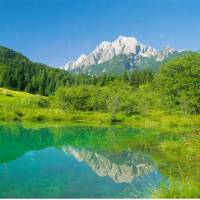 Zelenci near Kranjska Gora
