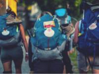 Pilgrims walking on the Camino in Spain |  <i>@timcharody</i>