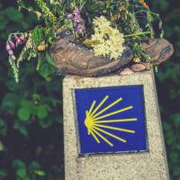 Decorative signage along the Camino | @timcharody