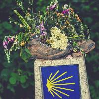 Decorative signage along the Camino |  <i>@timcharody</i>