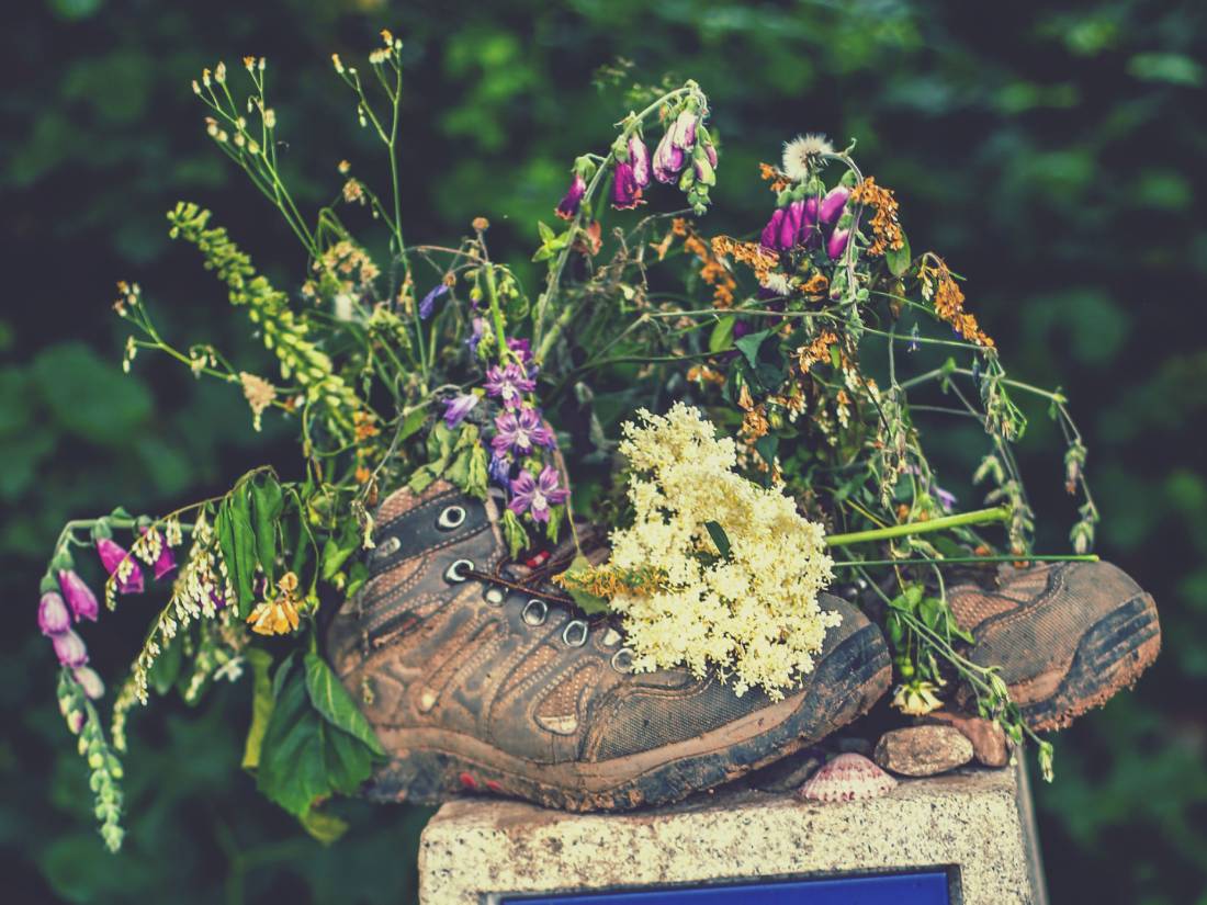 Decorative signage along the Camino |  <i>@timcharody</i>