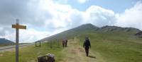 Pilgrim crossing a pass on the Camino de Santiago trail to Roncesvalles | Gesine Cheung