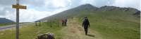 Pilgrim crossing a pass on the way to Roncesvalles |  <i>Gesine Cheung</i>