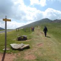 Pilgrim crossing a pass on the Camino de Santiago trail to Roncesvalles | Gesine Cheung