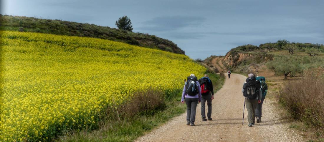 Pilgrims making their way to Roncesvalles |  <i>Gesine Cheung</i>