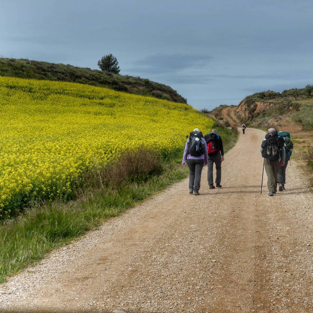 Pilgrims making their way to Roncesvalles | Gesine Cheung