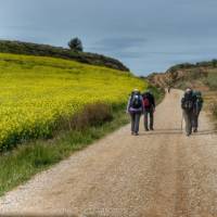 Pilgrims making their way to Roncesvalles | Gesine Cheung