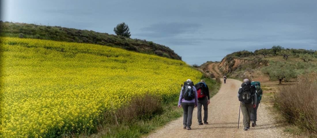 Pilgrims making their way to Roncesvalles |  <i>Gesine Cheung</i>